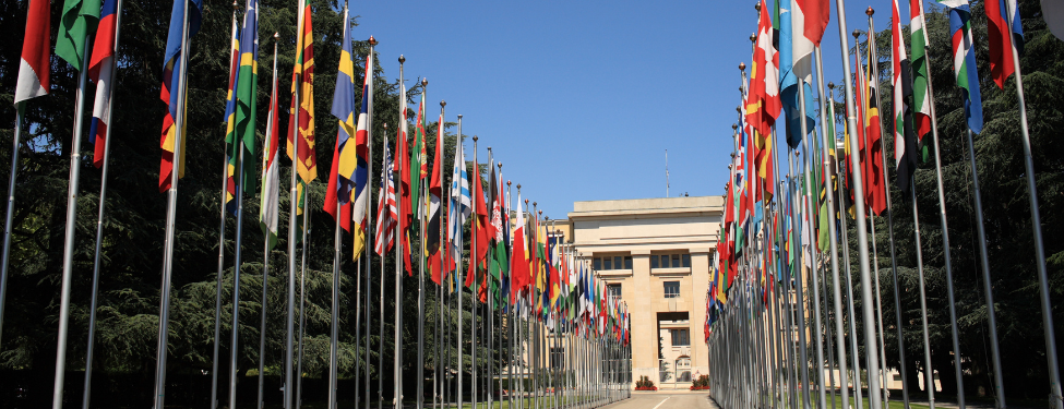 United Nations building and the countries flags outside of it.