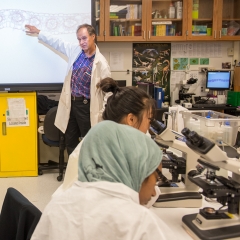 Professor pointing to white board in lab - SM