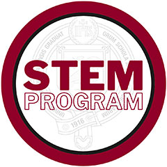 Stem Program Logo