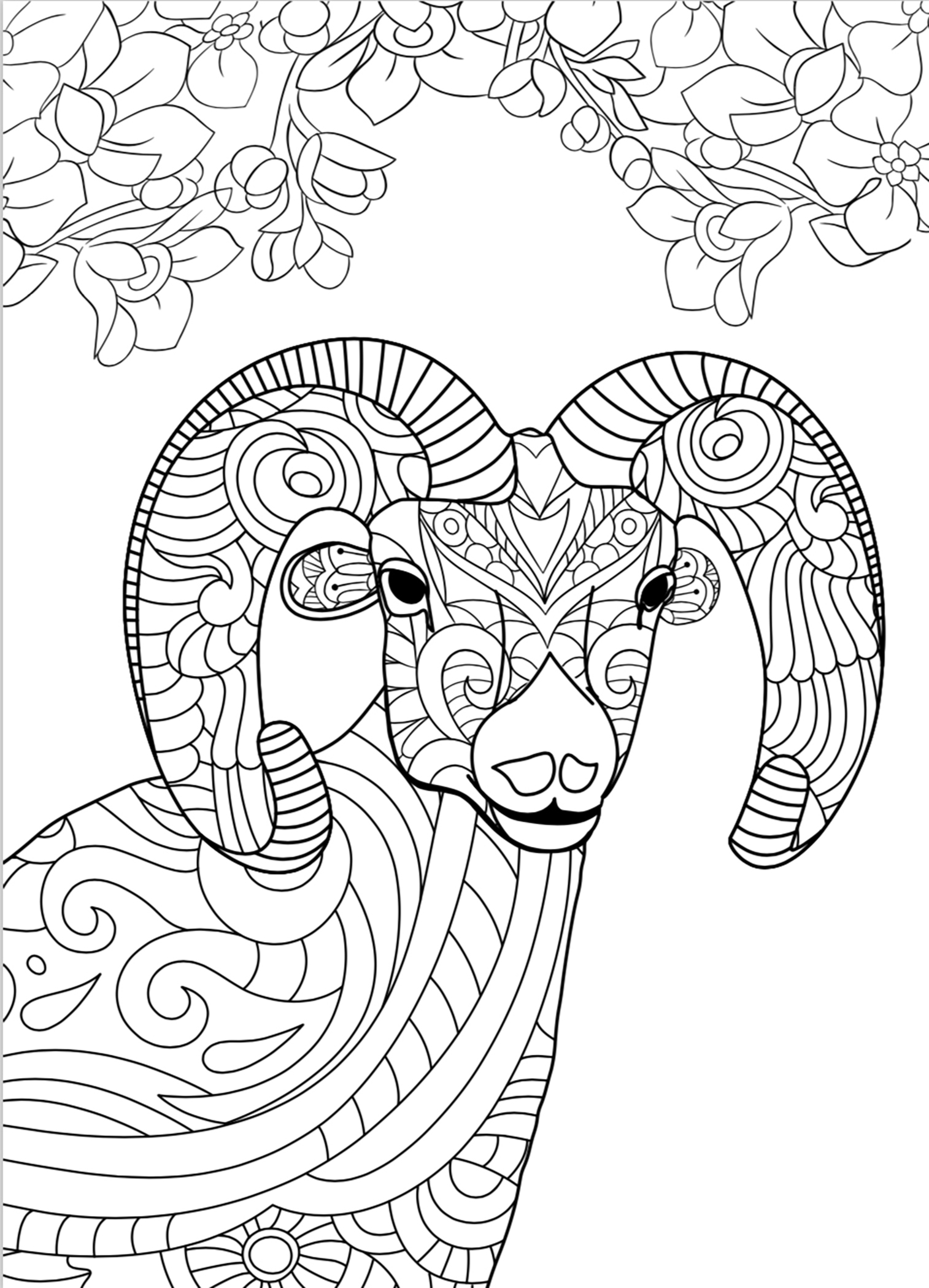 Ram Coloring Page