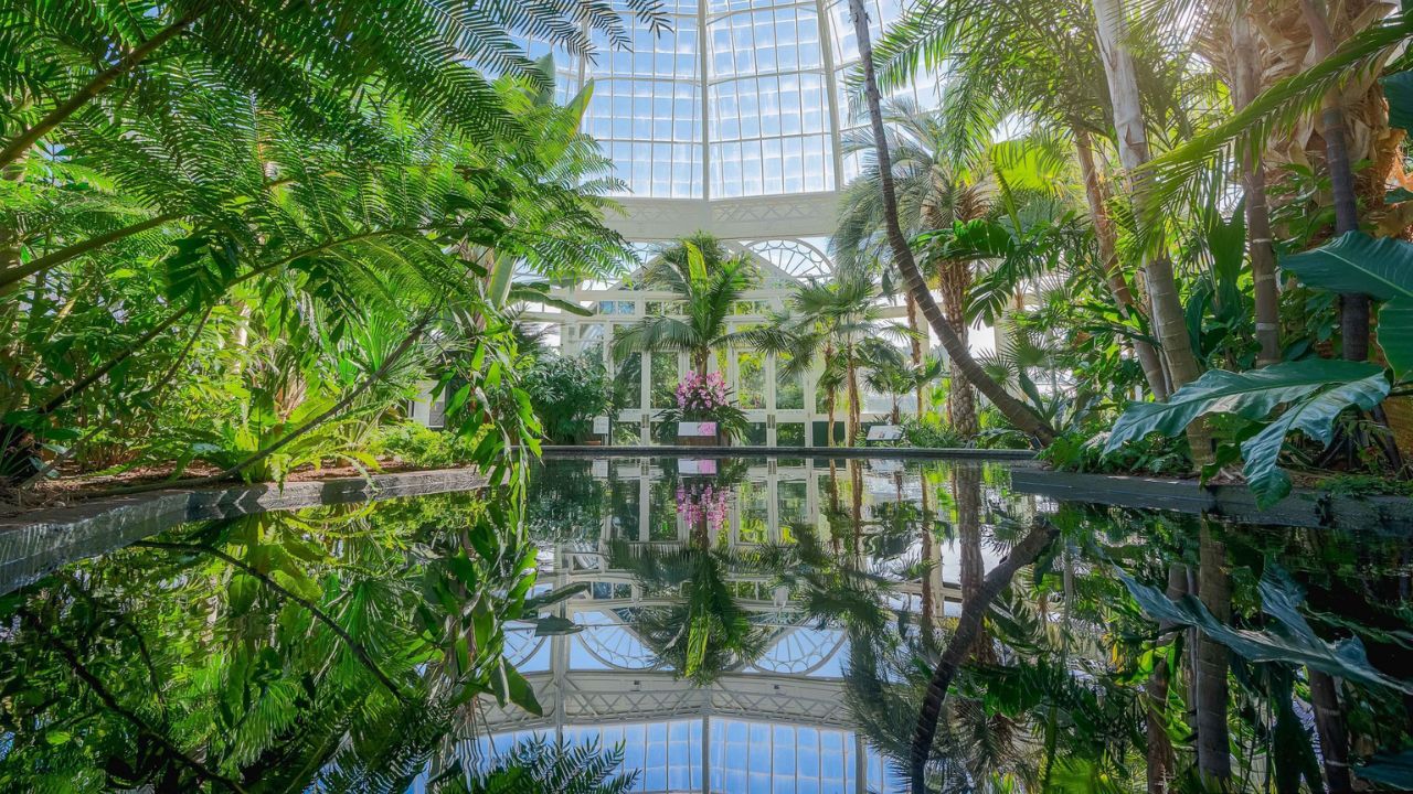 An image of the interior of the Enid A. Haupt conservatory, with plants over a pool of water