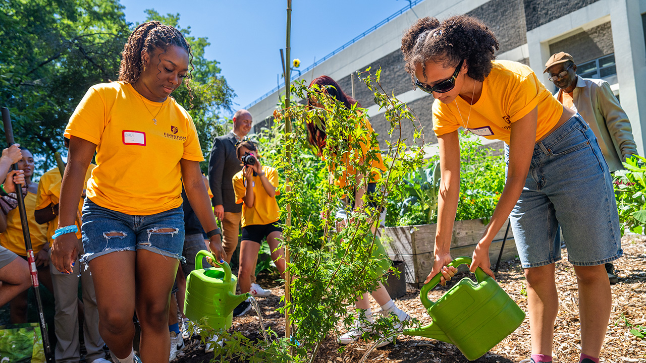 Students volunteer in the Bronx during Urban Plunge