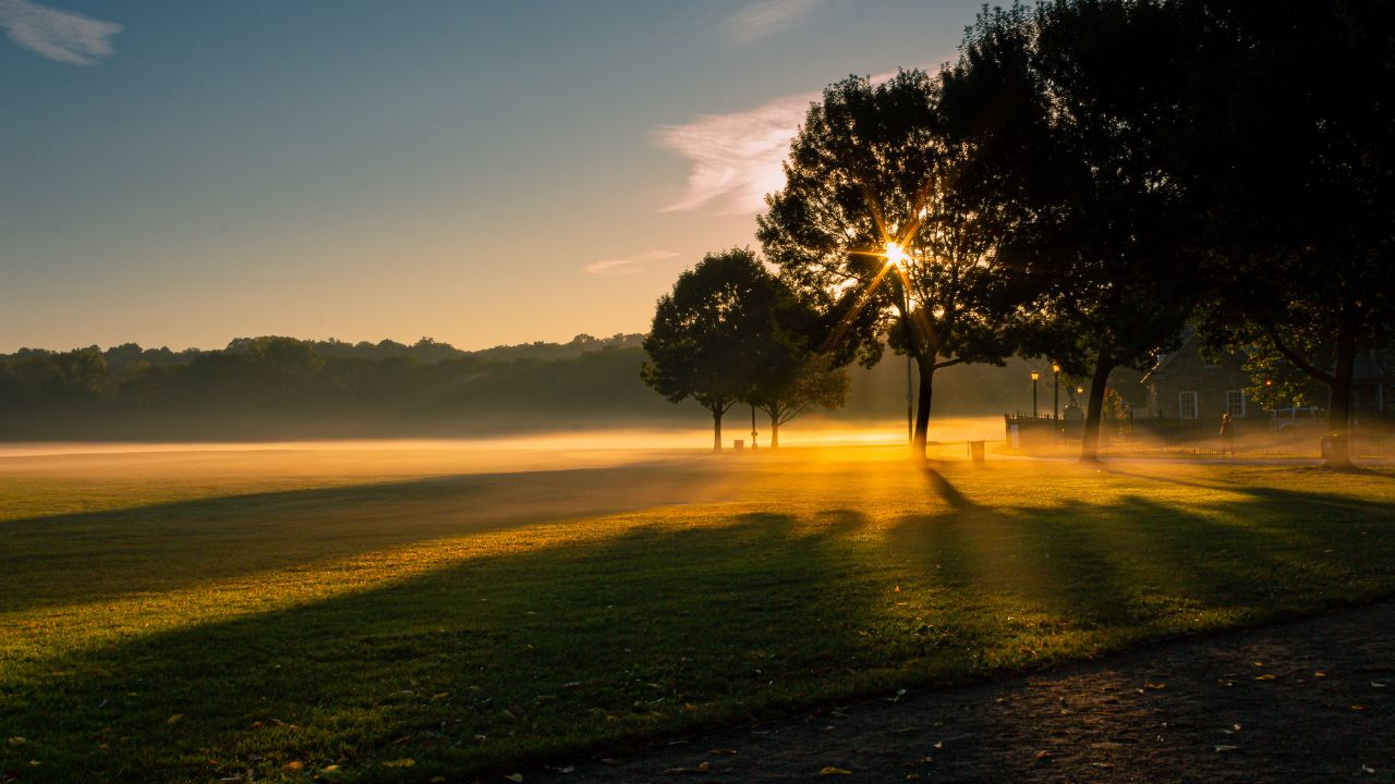 A picture of Van Cortlandt park at sunrise with fog on the landscape