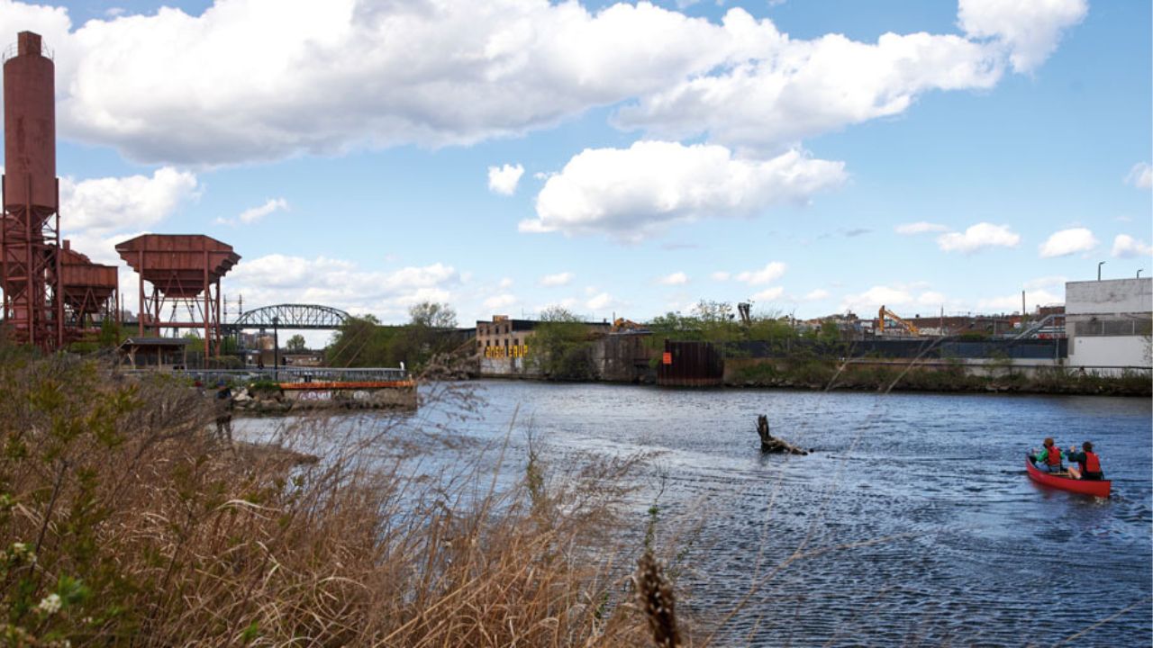 Kayakers paddle down the Bronx River