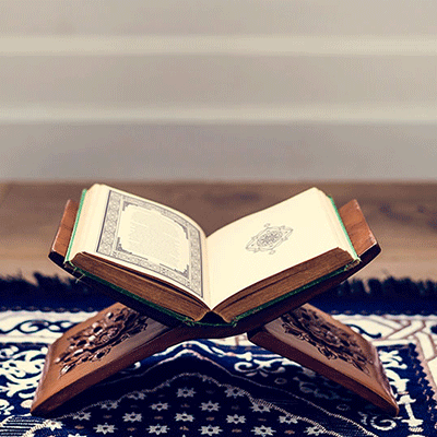 Image for Islamic Studies