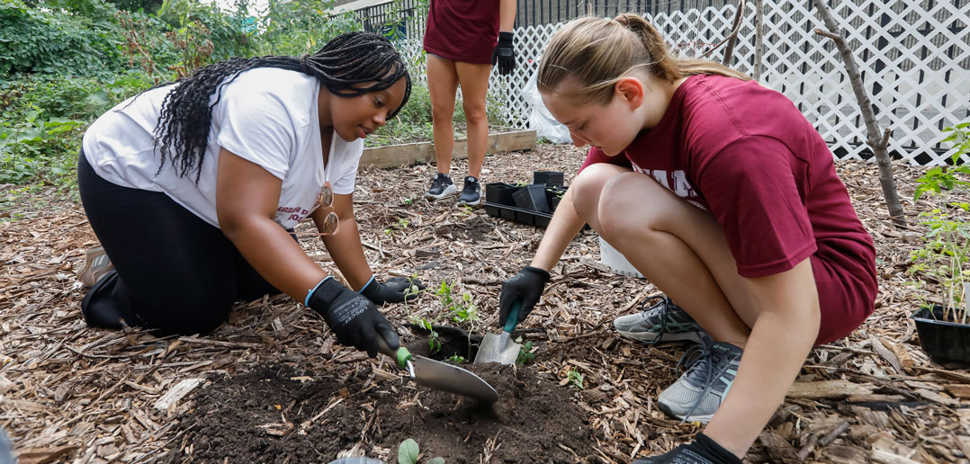 Students plant in a community garden