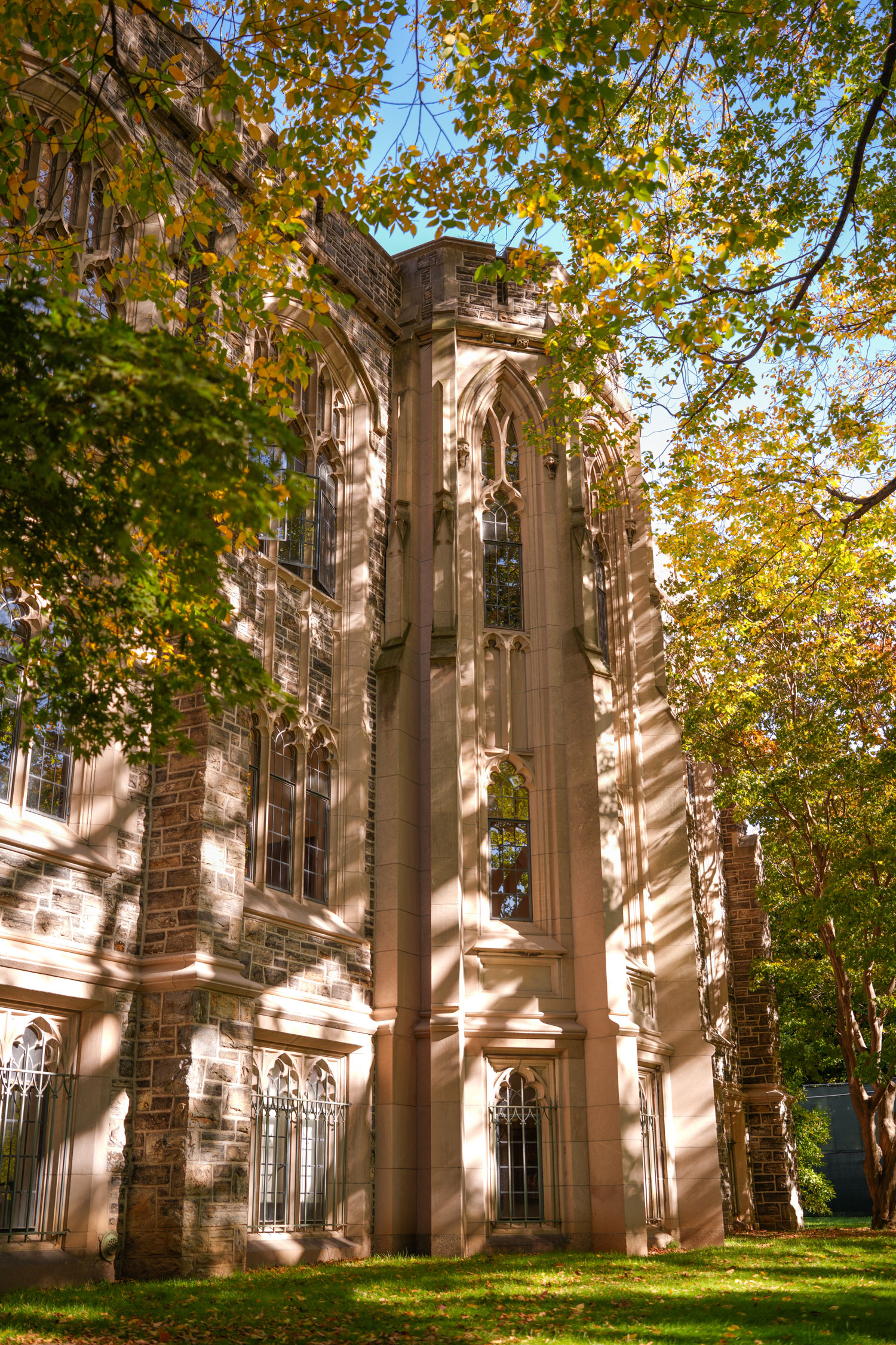 Duane Library in the spring