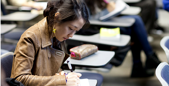 Image for Italian Language and Literature