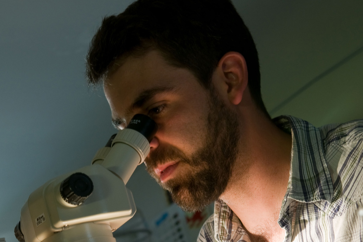 Male student using a microscope