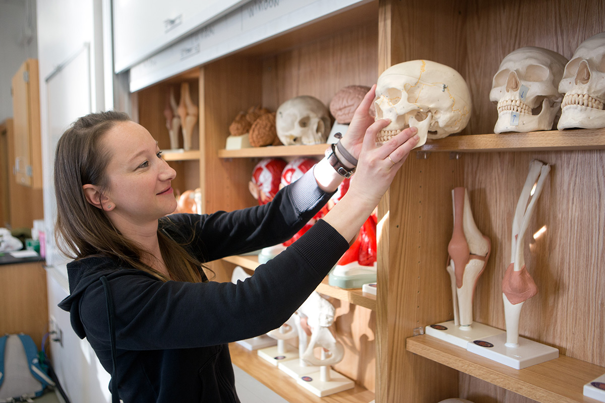 Image for Health Sciences