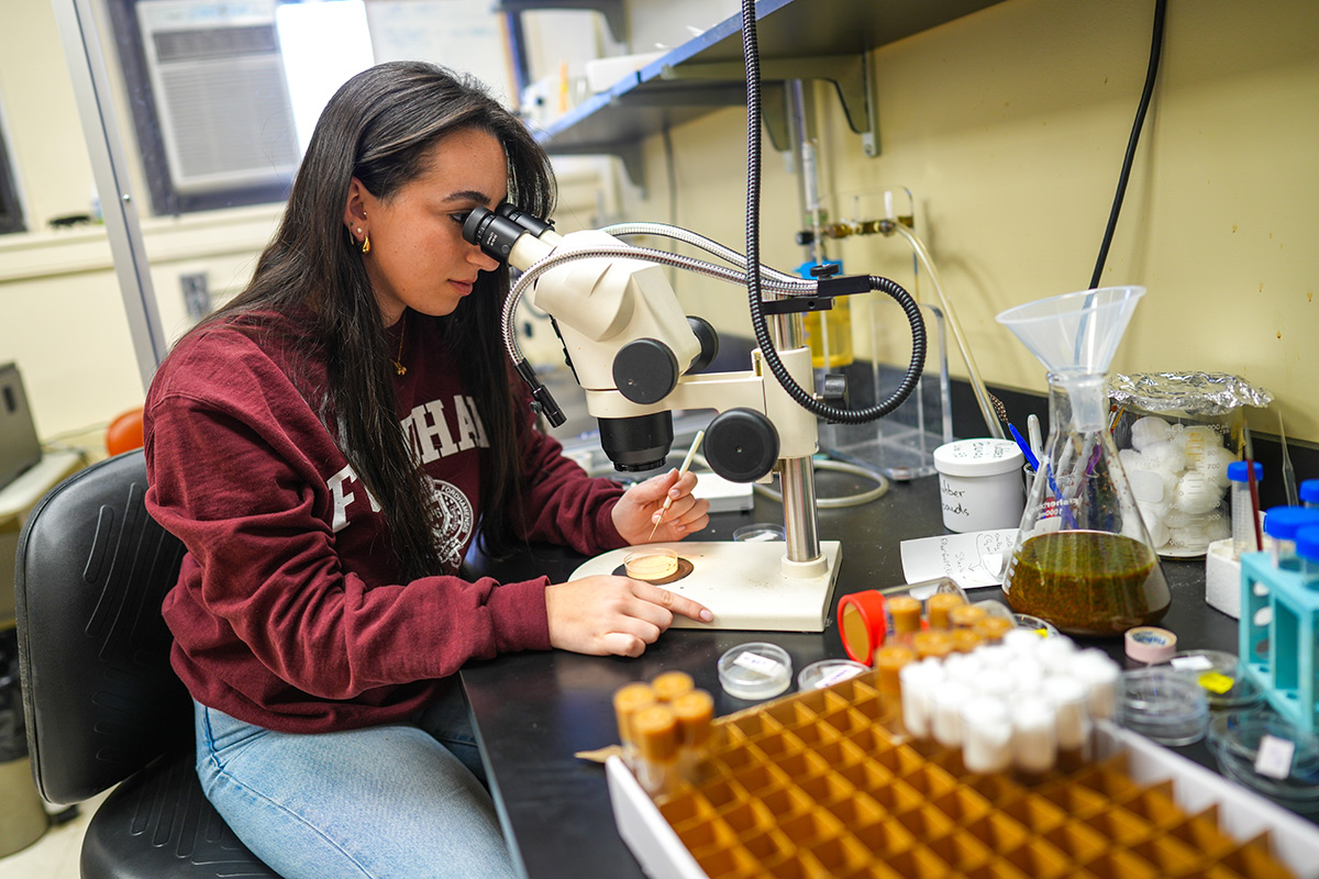 Female student looks through a microscope in a lab classroom