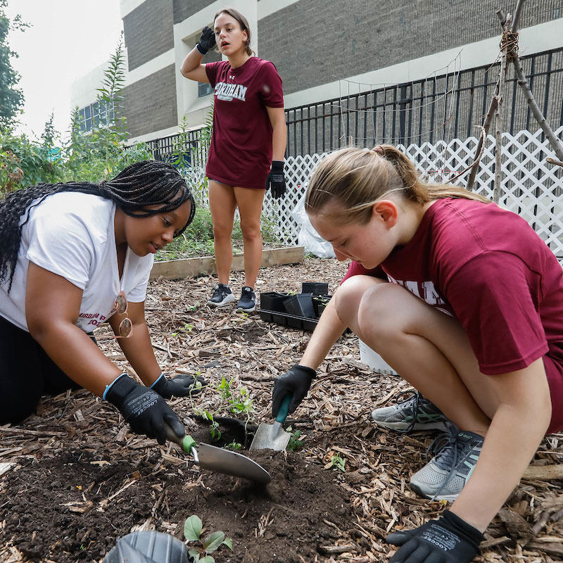 Two students work in a garden and are crouched near the ground digging in the dirt with shovels while another student stands behind them.