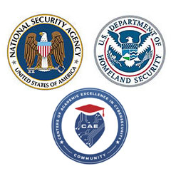 CIS, NSA, and CAE seals