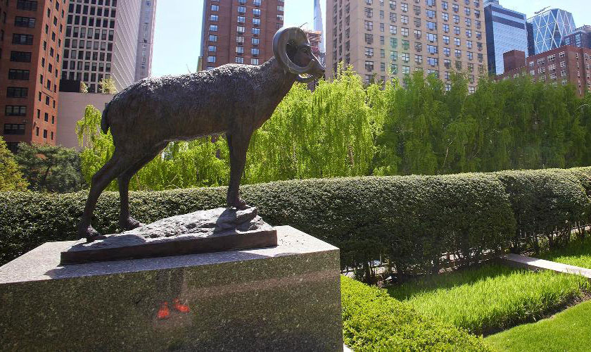 Ram statutue at Lincoln Center campus