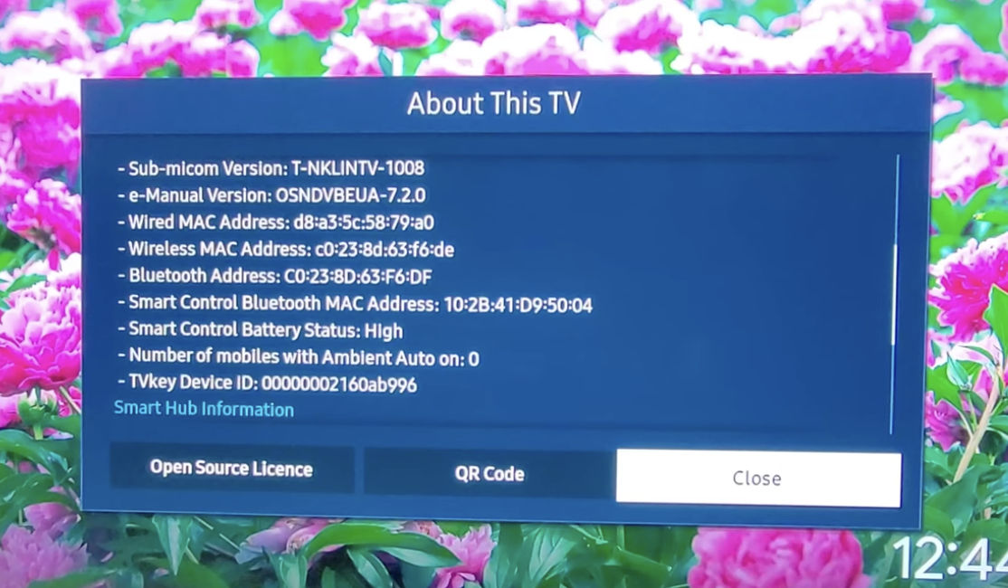 Samsung Smart TV settings screen showing the WiFi MAC address
