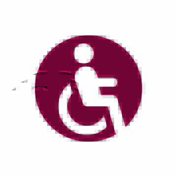HR Disability Icon