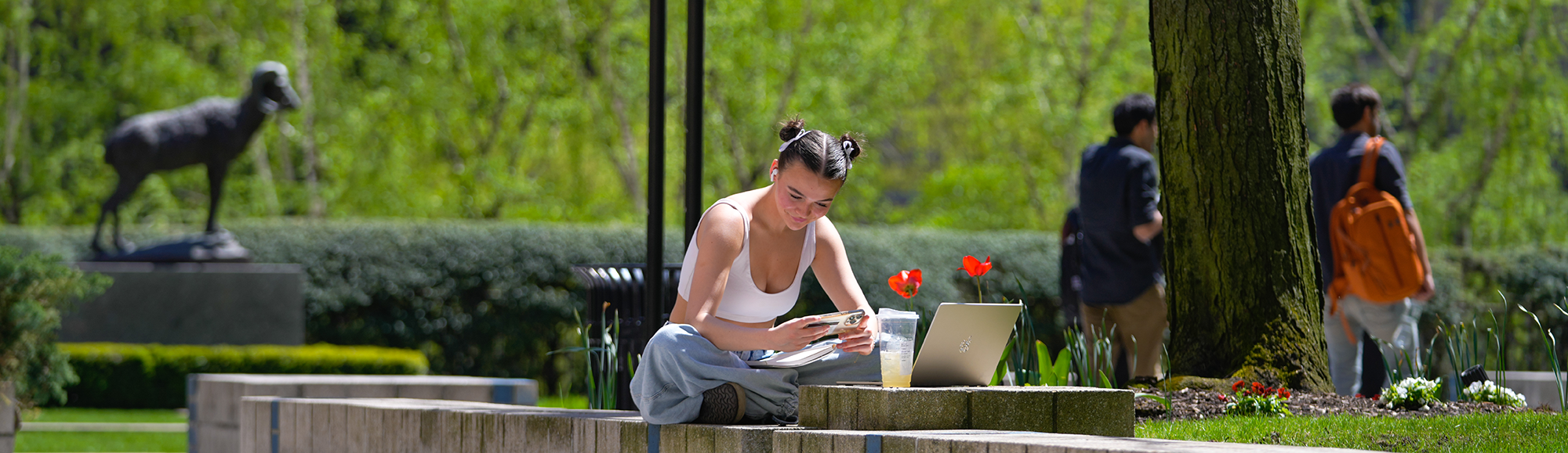 Banner of Image of Students with Laptops