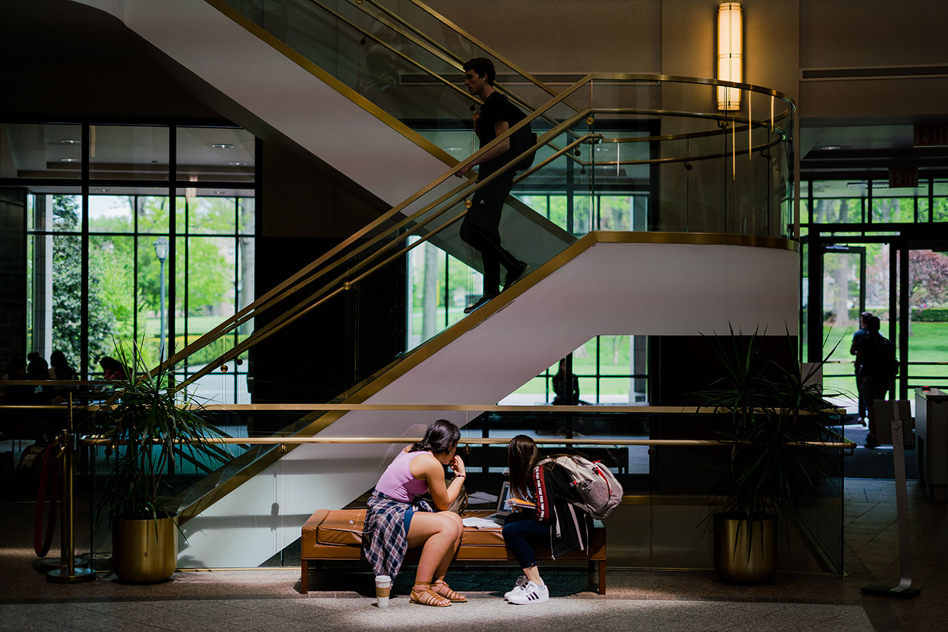 Students studying in Walsh Library