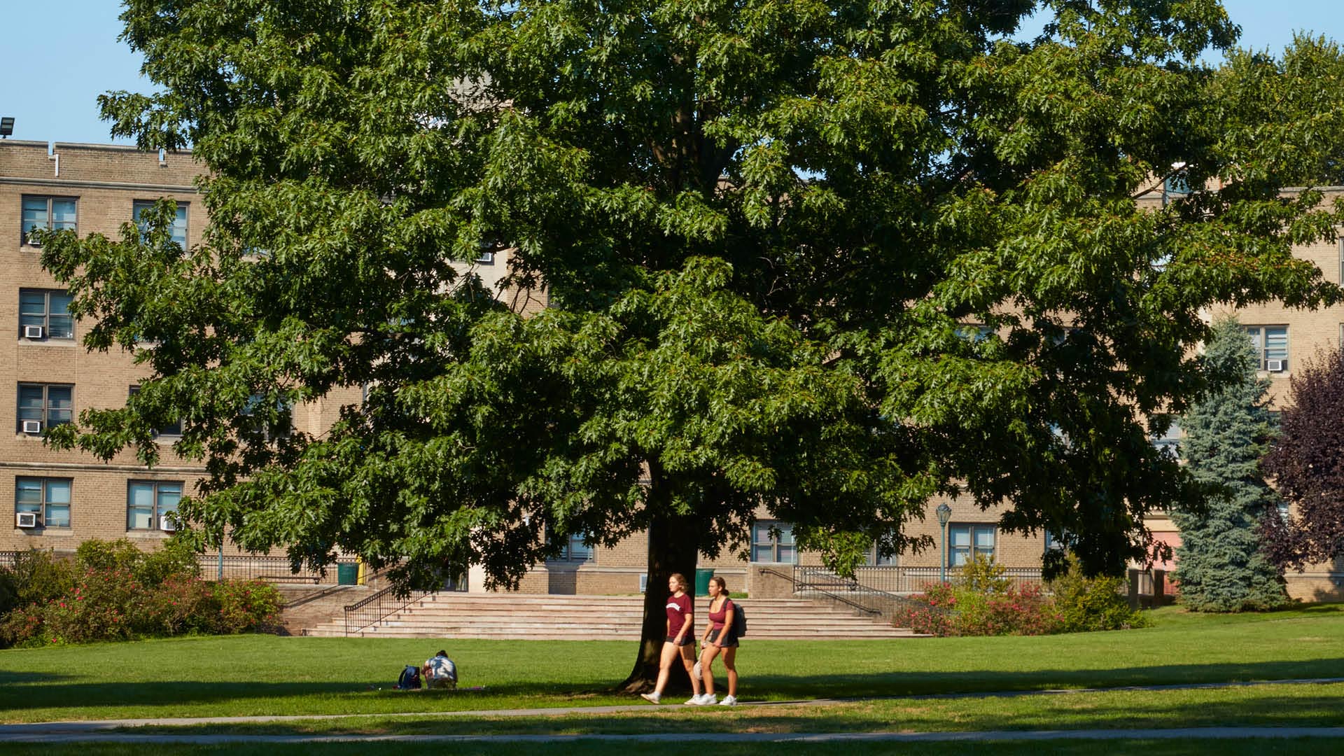 Image forMartyrs' Court: LaLande/Goupil Halls