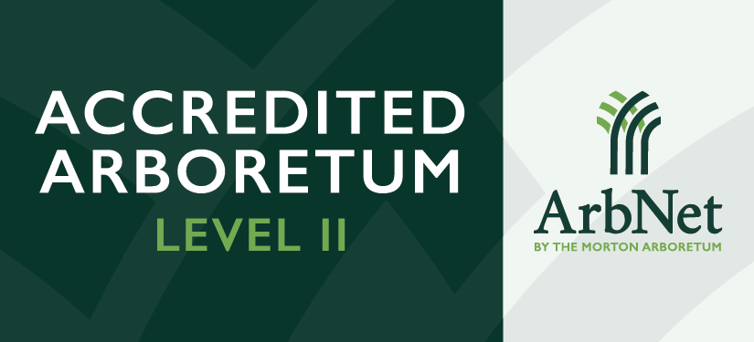 ArbNet Badge Level II