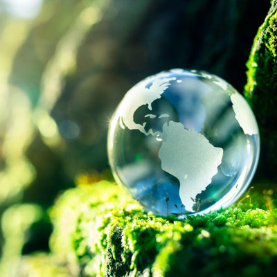 Glass globe on grass