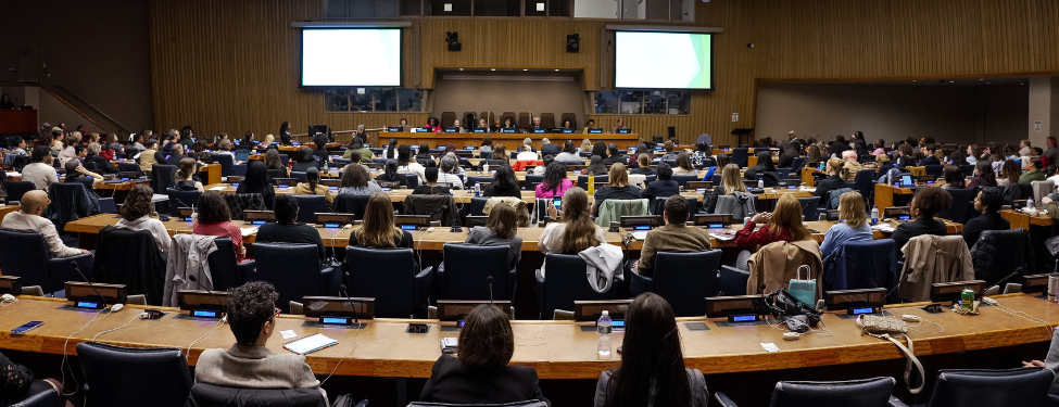 a photo of social work day at the united nations