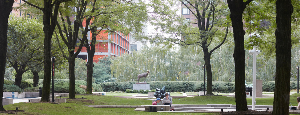 A student sits in the lincoln center courtyard on their laptop. they are framed in the middle of the shot, far away across the space. the trees line the left and right side of the image symetrically.
