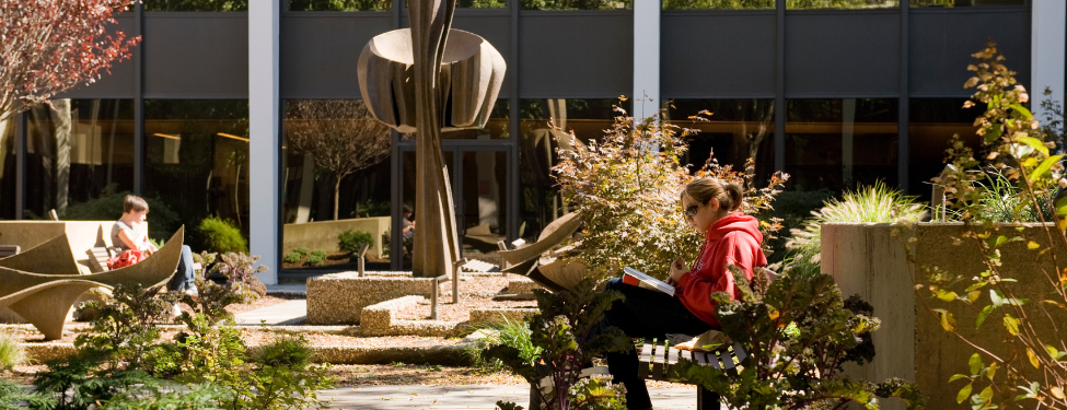 A student sits in the westchester courtyard reading. they are wearing a red sweatshirt.