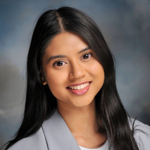 Fordham Law School IDEAL Program