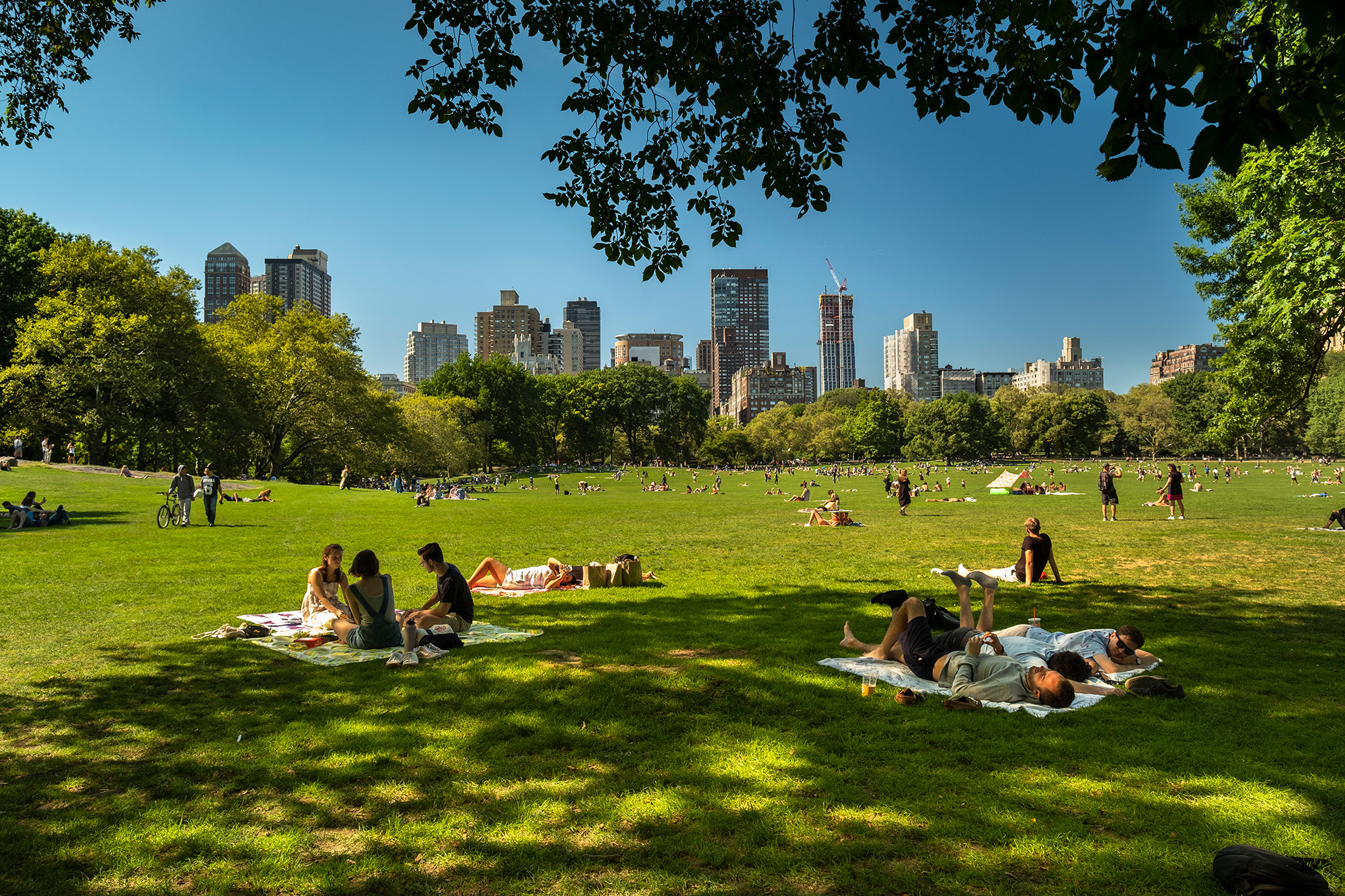Central Park Sheep Meadow with people relaxing