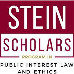 Stein Scholars logo 240x240