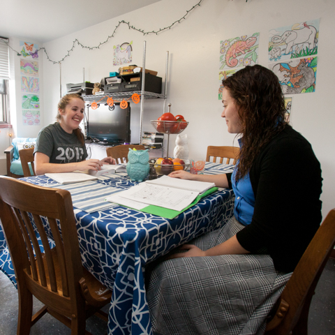 Two female students sitting at dining table - LG