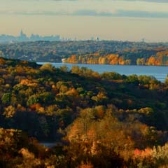 Landscape view of NY from Calder - SM