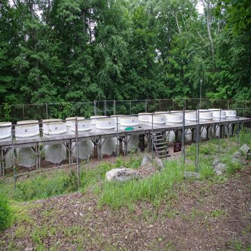 Experimental Lake Facility