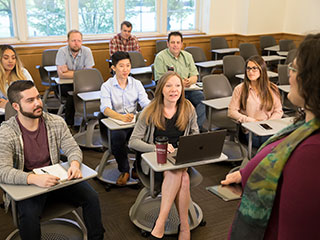 Faculty teaching graduate students