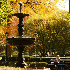 Fall Fountain with Female Student