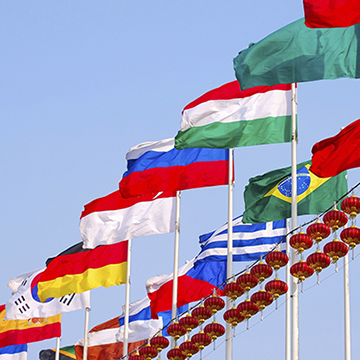 International Business Week Flags