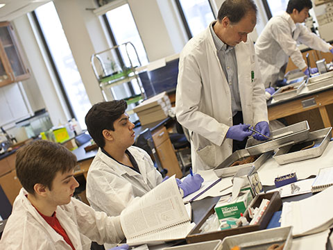Students and professor working in the lab at the Lincoln Center campus