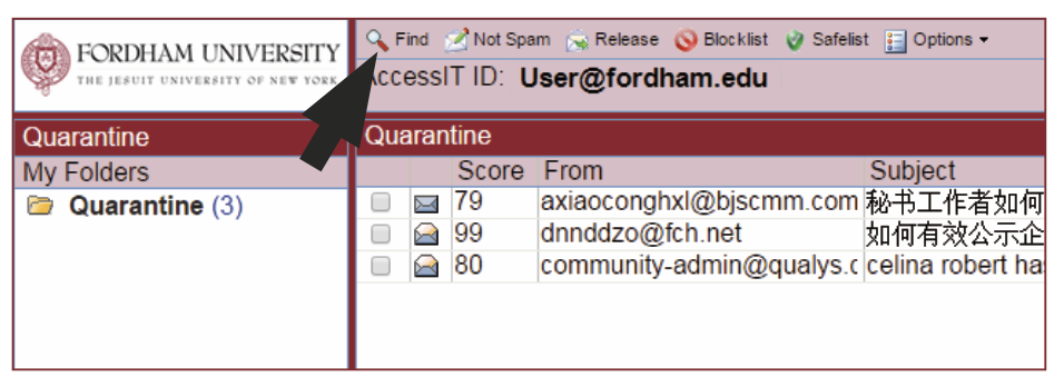 Proofpoint Quarantine Summary user interface 