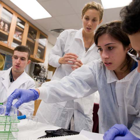 Group of student reacting to experiment - LG