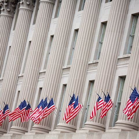 Stock photo of flags in DC - LG