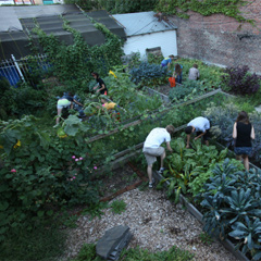 St. Rose's Garden at the Rose Hill Campus