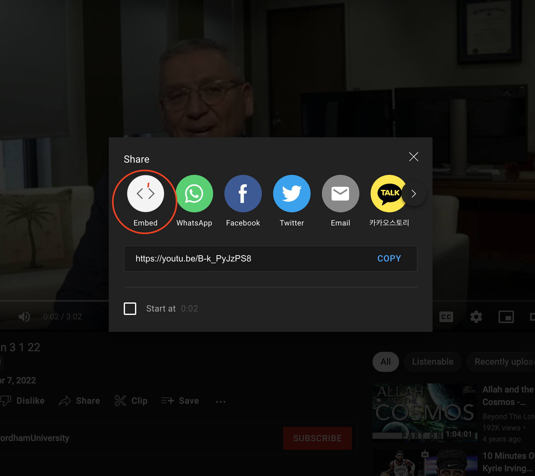 YouTube share options