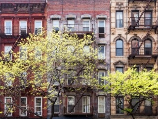 Trees surrounding New York City Apartments and Walk Ups